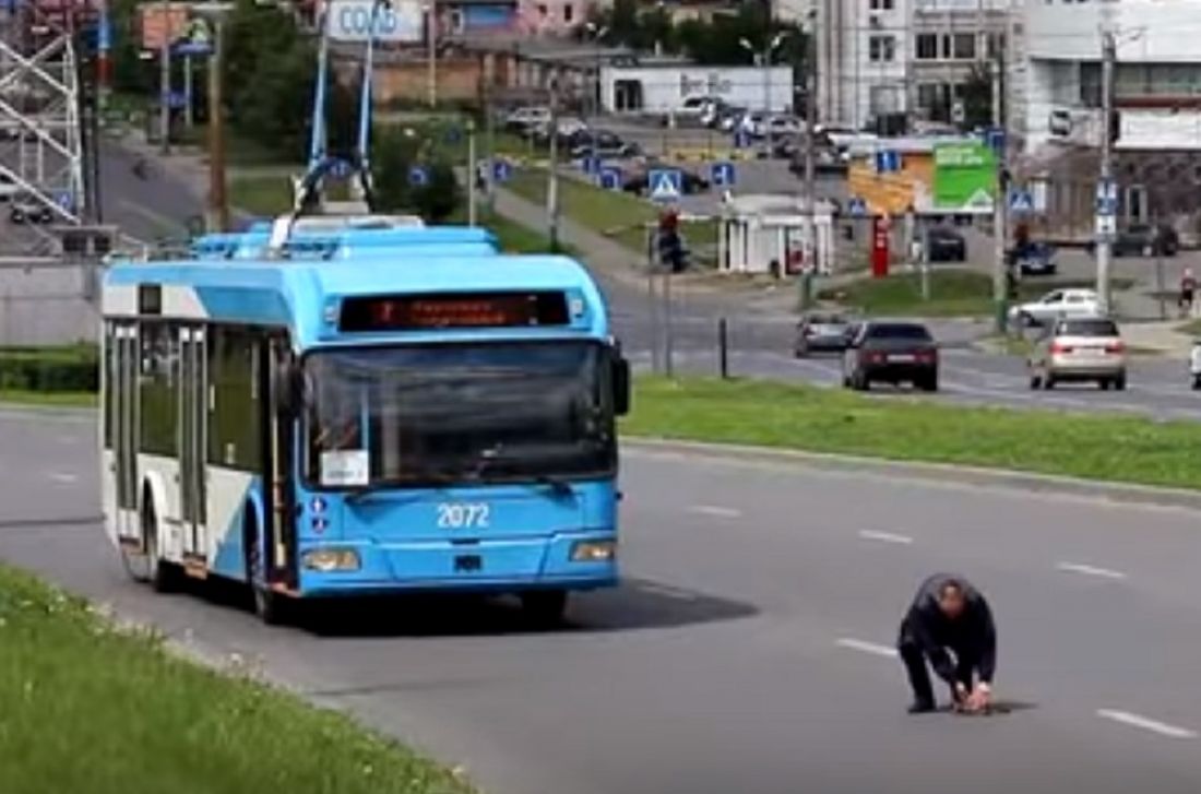 В Пензе водитель троллейбуса №7 остановился, чтобы помочь котенку