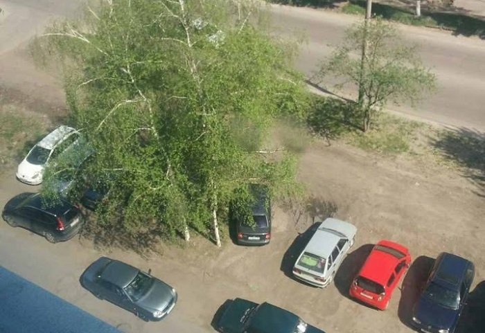 В Пензе автомобилисты с улицы Пролетарской массово перепутали газон с парковкой