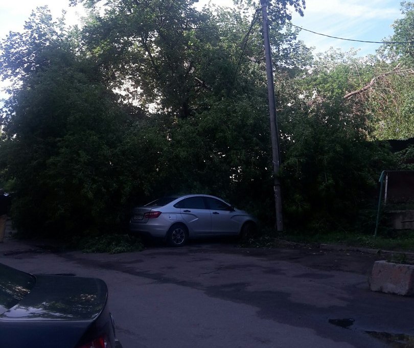В Пензе на ул. Калинина упавшее дерево покорежило три авто