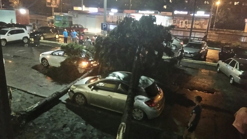 В Пензе попал на видео момент падения двух елей на автомобили